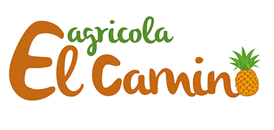Agricola Persea