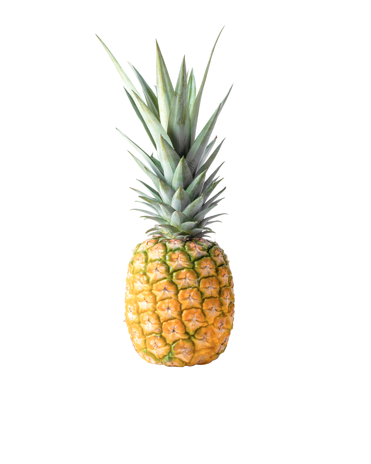 Ananas