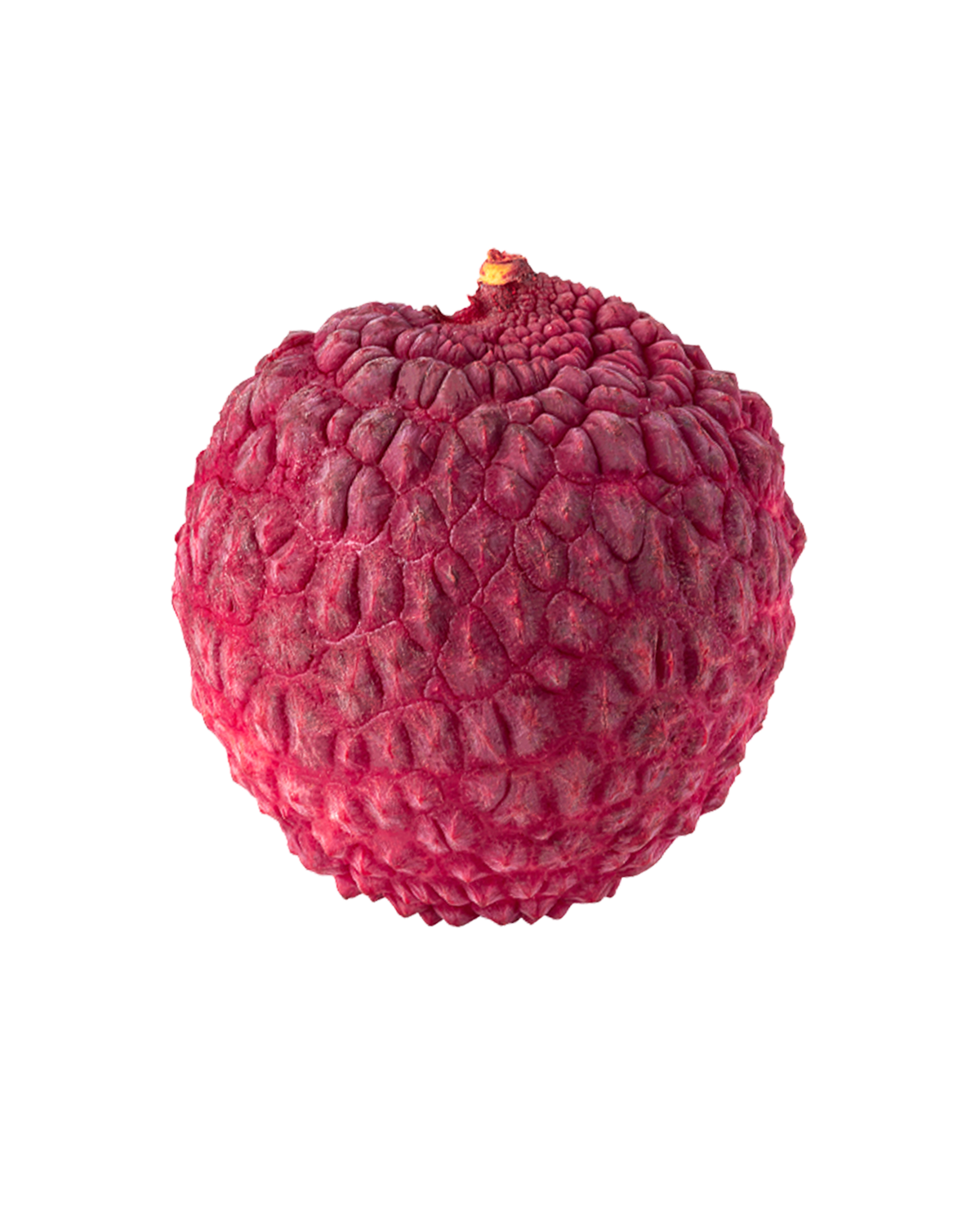 Litci