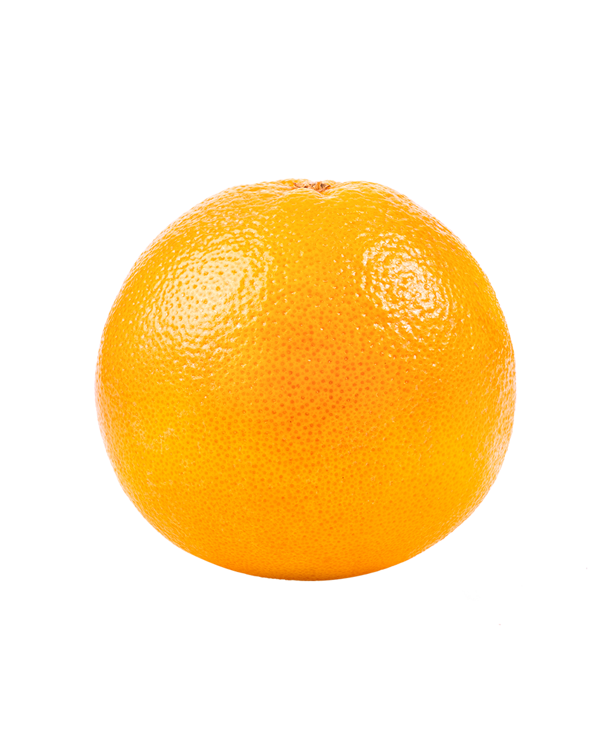 Pompelmo