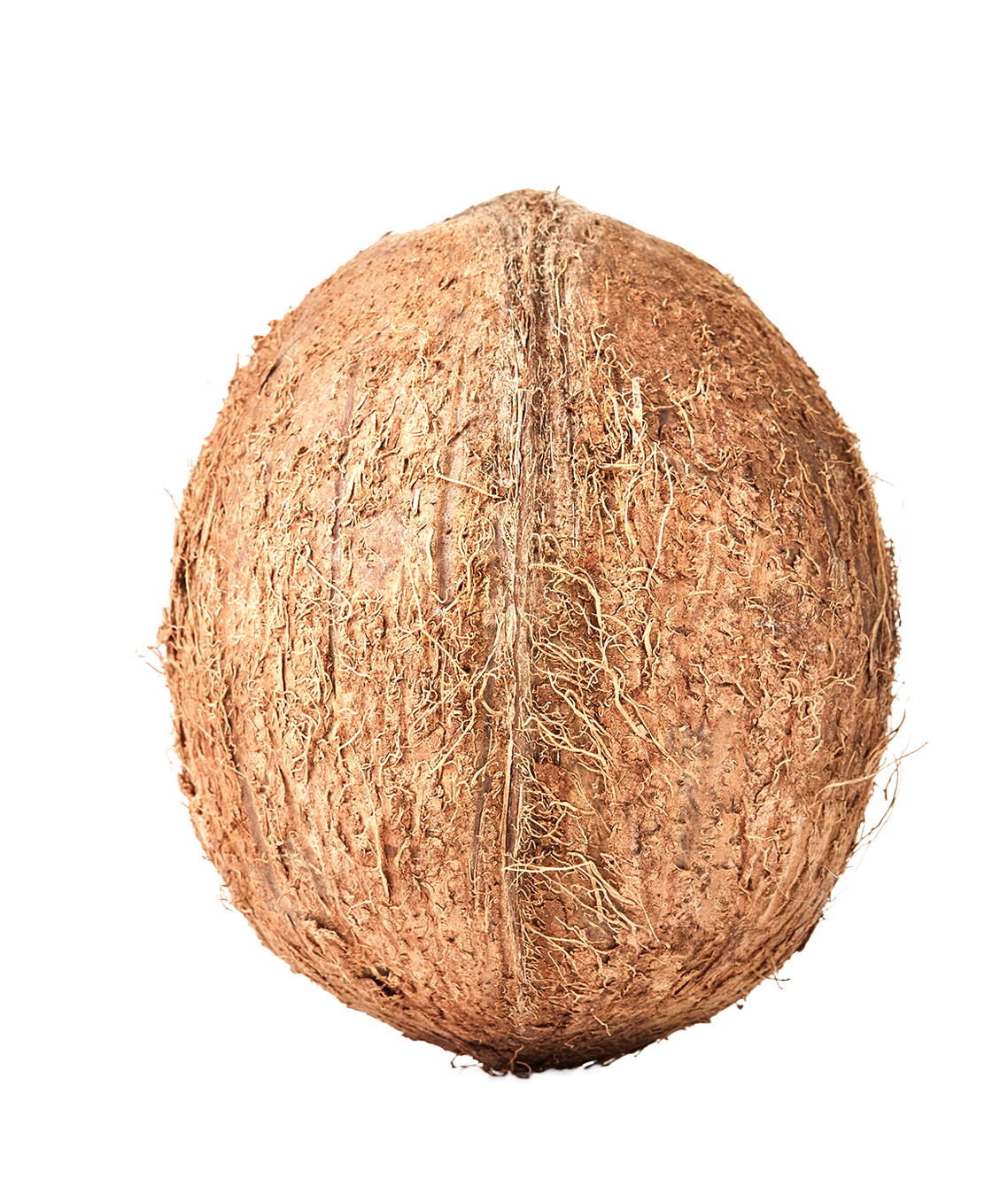 Cocco